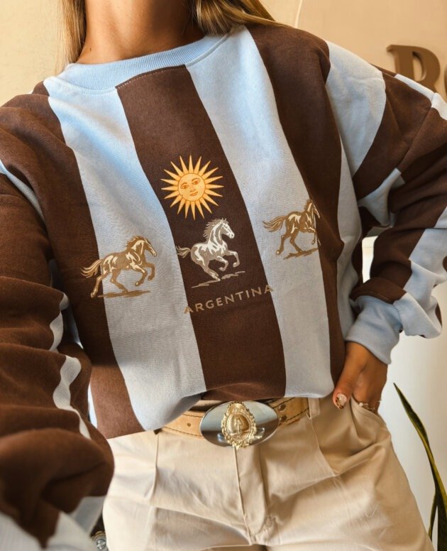 BUZO CABALLOS Y SOL MARRON Y CELESTE