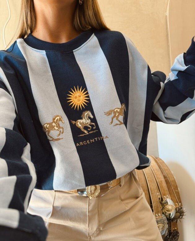 BUZO CABALLOS Y SOL AZUL Y CELESTE
