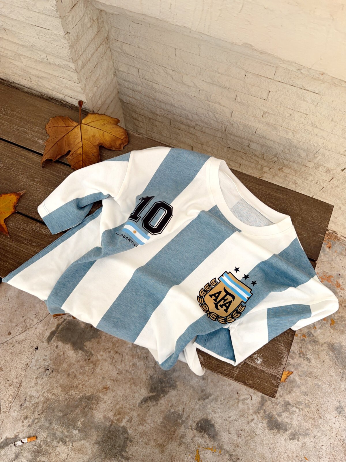 REMERA 10 “AFA”