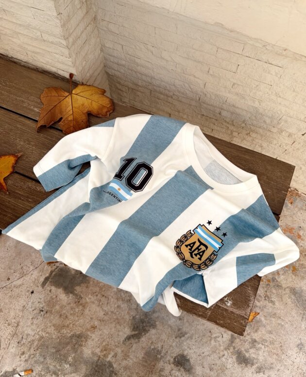 REMERA 10 "AFA"