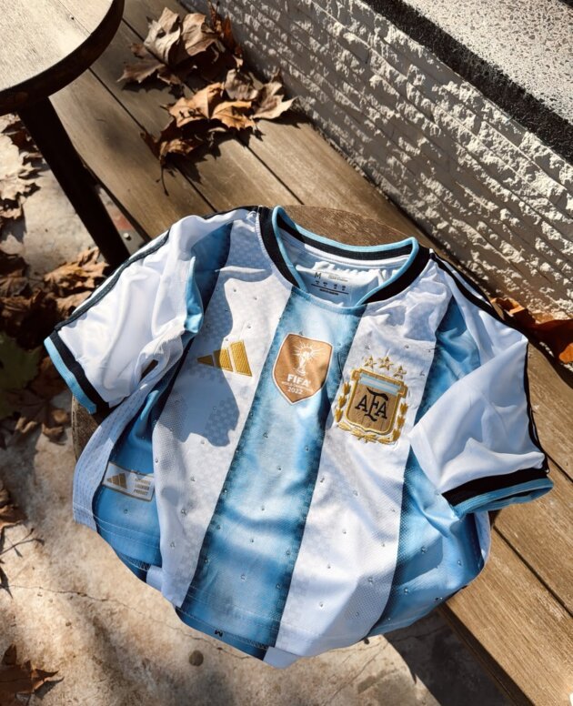 CAMISETA ARGENTINA BORDADA CON BRILLITOS CORTA